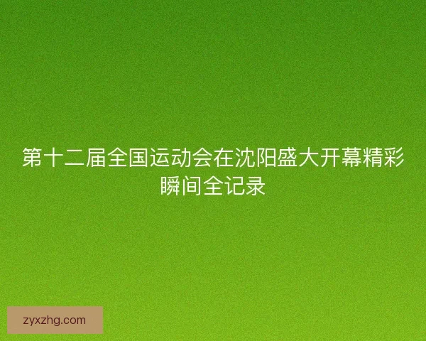 第十二届全国运动会在沈阳盛大开幕精彩瞬间全记录